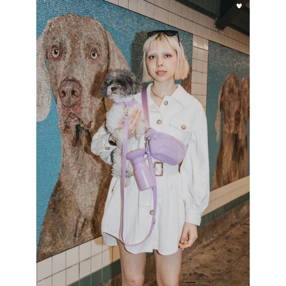 SPRINGER PETS Sling Bag + Dog Leash handsfree fannypack belt bag